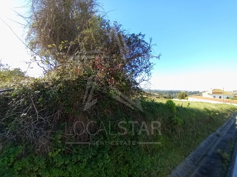 Terreno para Venda em Carvalhal Benfeito Foto 6