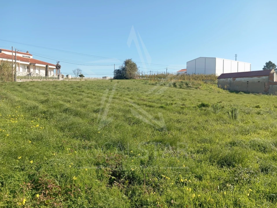 Terreno para Venda em Carvalhal Benfeito Foto 23