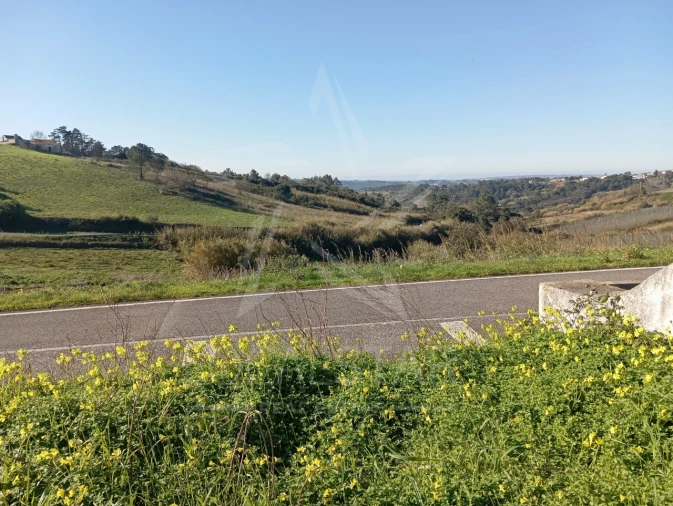 Terreno para Venda em Carvalhal Benfeito Foto 22