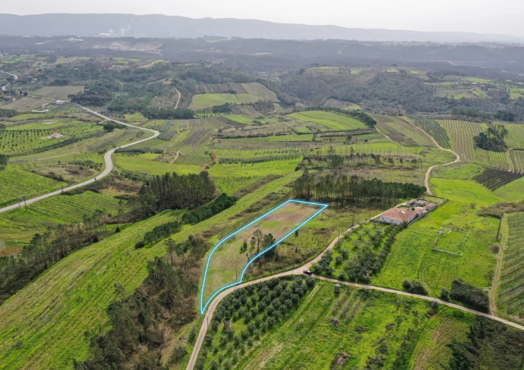 Terreno para Venda em Alcobaça e Vestiaria Foto 1