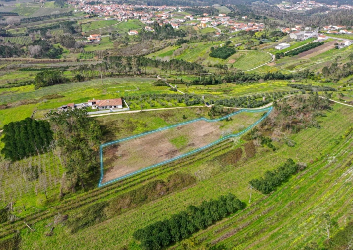 Terreno para Venda em Alcobaça e Vestiaria Foto 3