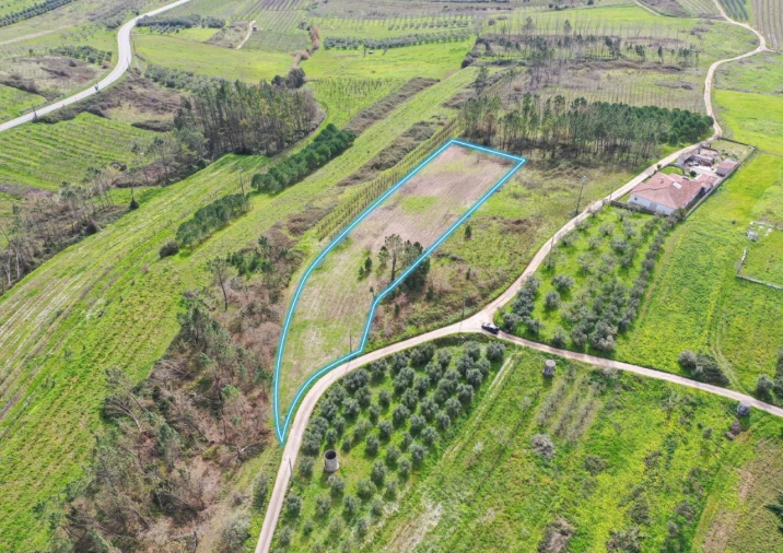 Terreno para Venda em Alcobaça e Vestiaria Foto 4