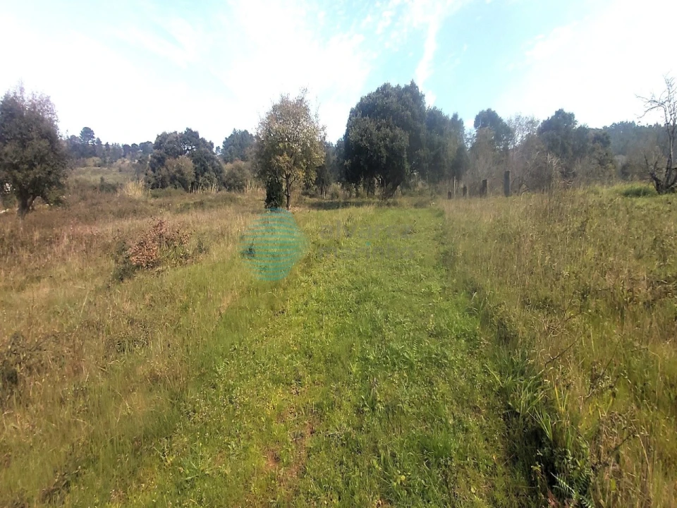 Terreno para Venda em Roliça Foto 5