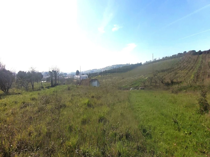 Terreno para Venda em Roliça Foto 1