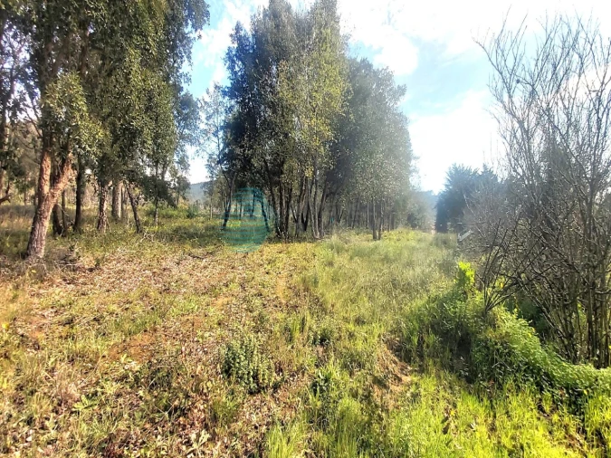 Terreno para Venda em Roliça Foto 2