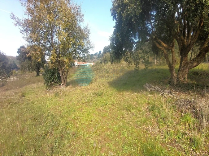 Terreno para Venda em Roliça Foto 3