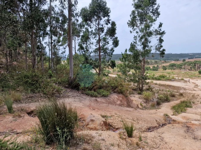 Terreno para Venda em Santa Maria, São Pedro e Matacães Foto 6