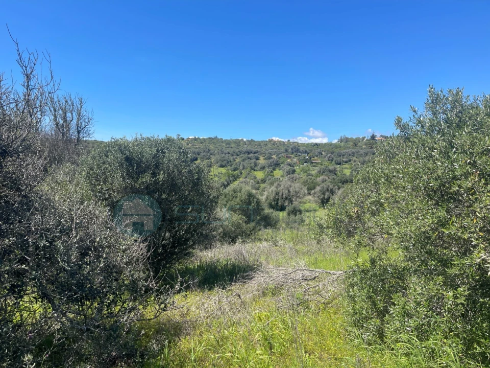 Terreno para Venda em Luz Foto 15