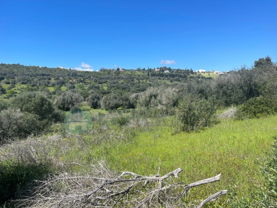 Terreno para Venda em Luz Foto 17