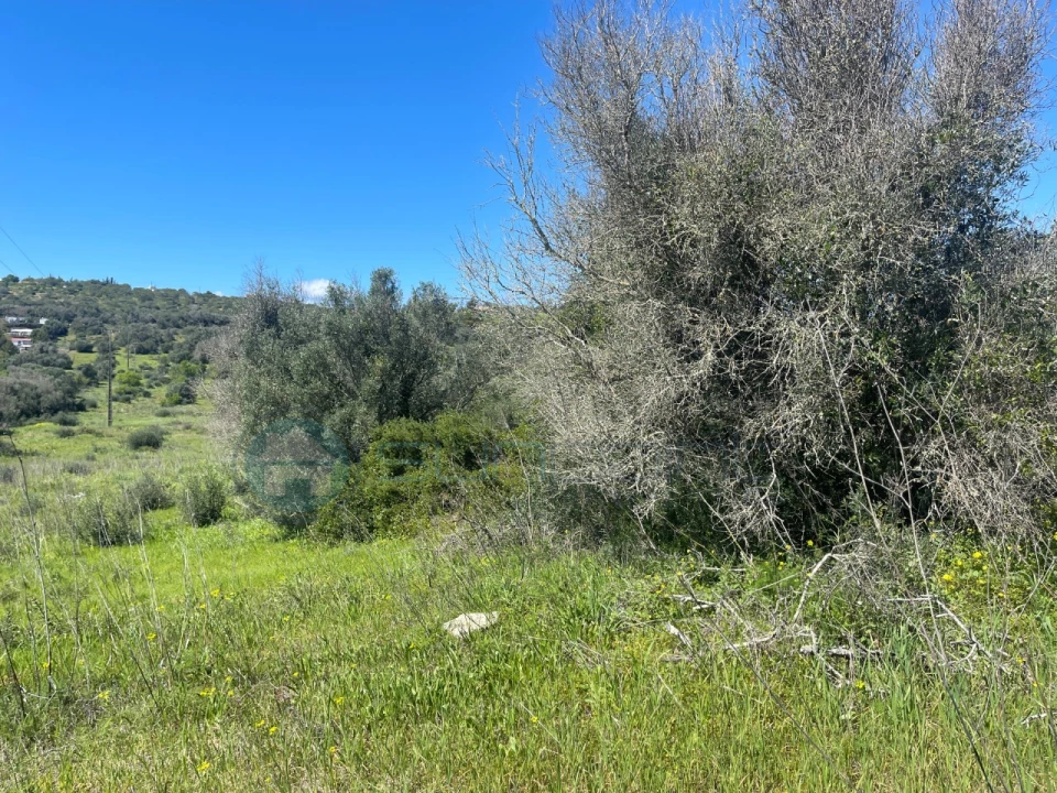 Terreno para Venda em Luz Foto 19