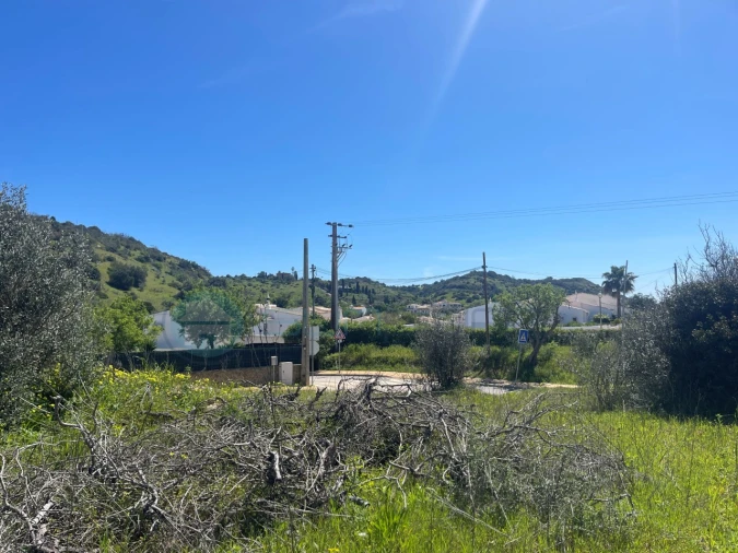 Terreno para Venda em Luz Foto 2