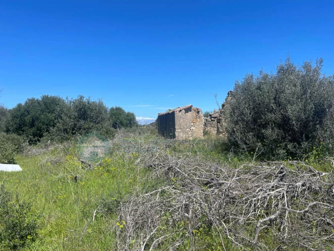 Terreno para Venda em Luz Foto 13