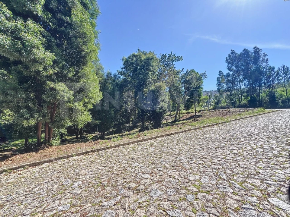 Terreno para Venda em Venade e Azevedo Foto 15