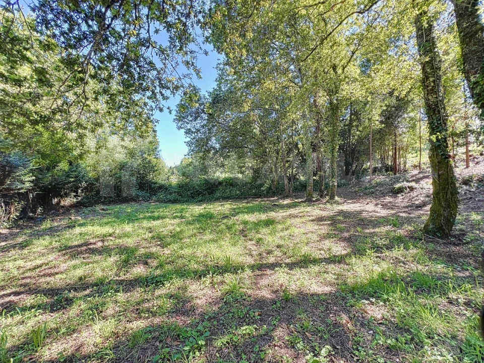 Terreno para Venda em Venade e Azevedo Foto 9