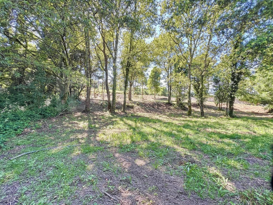 Terreno para Venda em Venade e Azevedo Foto 12