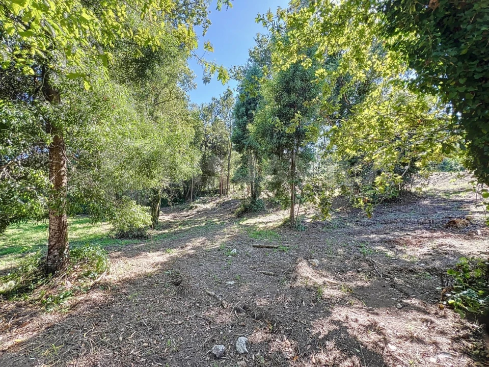 Terreno para Venda em Venade e Azevedo Foto 14