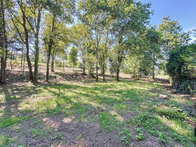 Terreno para Venda em Venade e Azevedo Foto 8