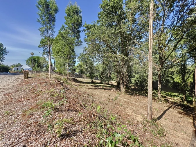 Terreno para Venda em Venade e Azevedo Foto 11