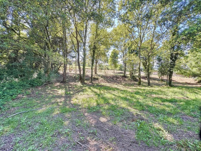 Terreno para Venda em Venade e Azevedo Foto 12