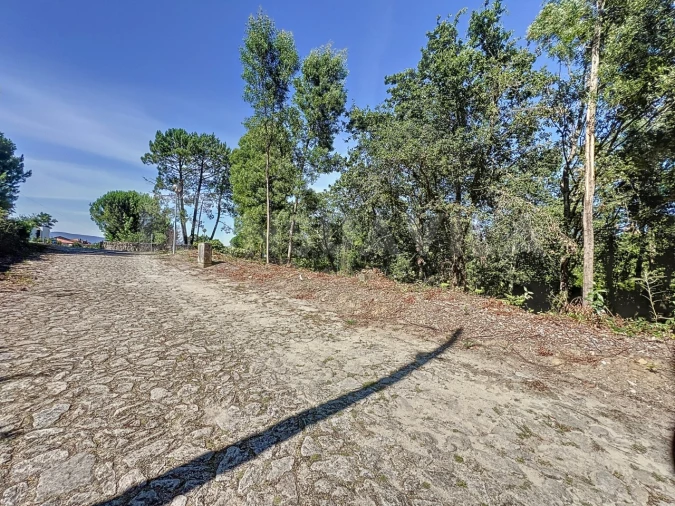 Terreno para Venda em Venade e Azevedo Foto 16