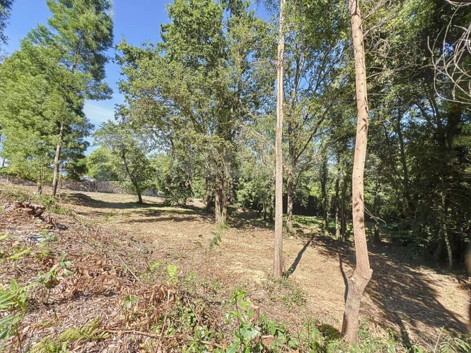 Terreno para Venda em Venade e Azevedo Foto 13