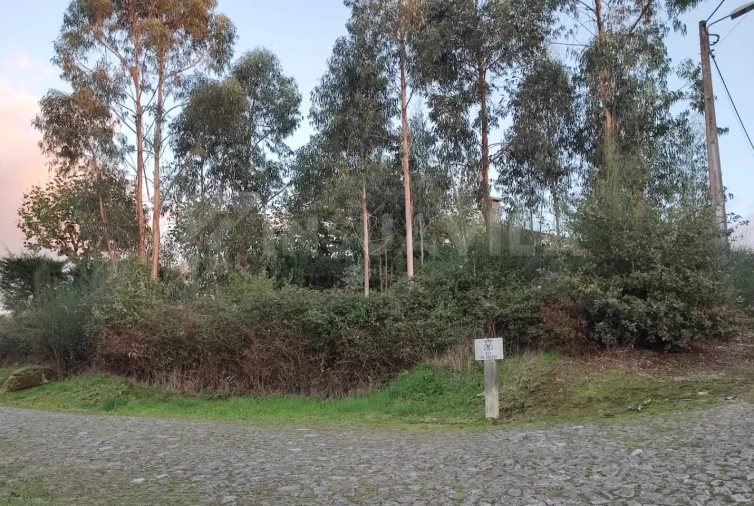 Terreno para Venda em Loivo Foto 3