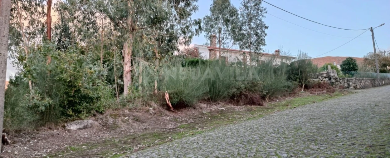 Terreno para Venda em Loivo Foto 4