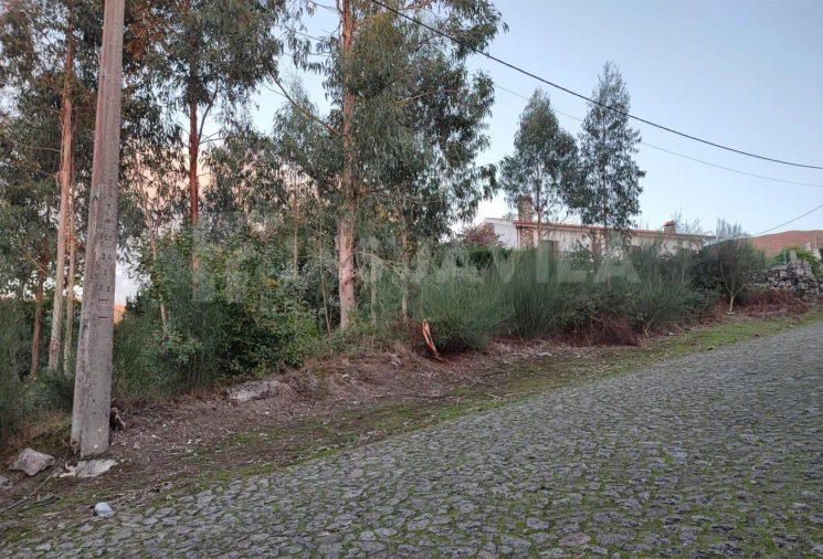 Terreno para Venda em Loivo Foto 5