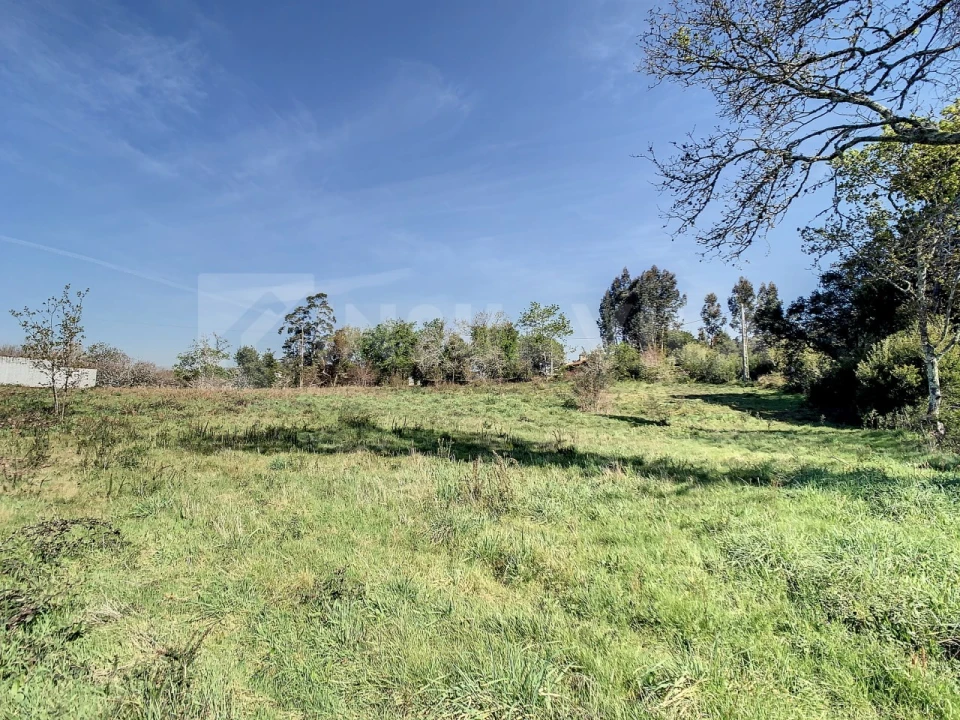 Terreno para Venda em Seixas Foto 5