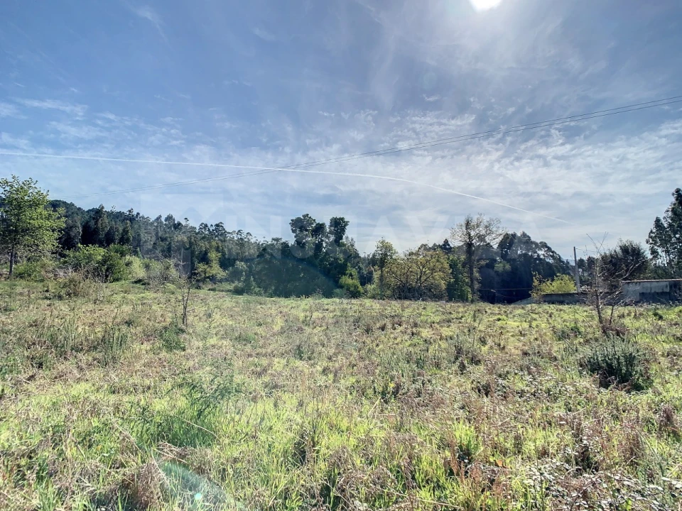 Terreno para Venda em Seixas Foto 11