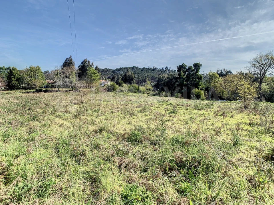 Terreno para Venda em Seixas Foto 13