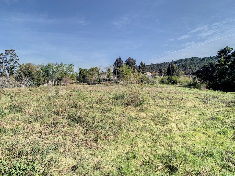 Terreno para Venda em Seixas Foto 14