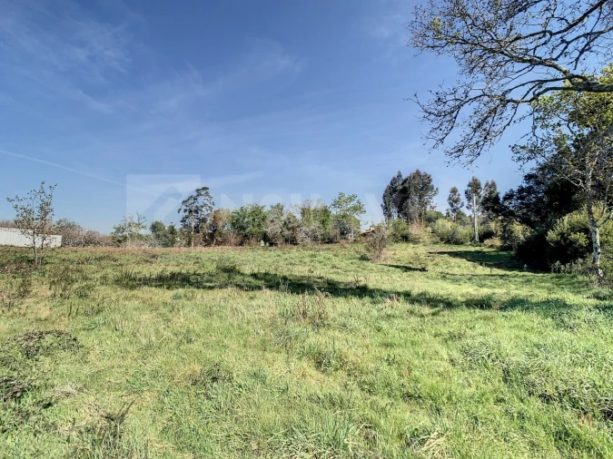 Terreno para Venda em Seixas Foto 5