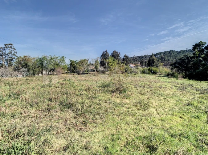 Terreno para Venda em Seixas Foto 14