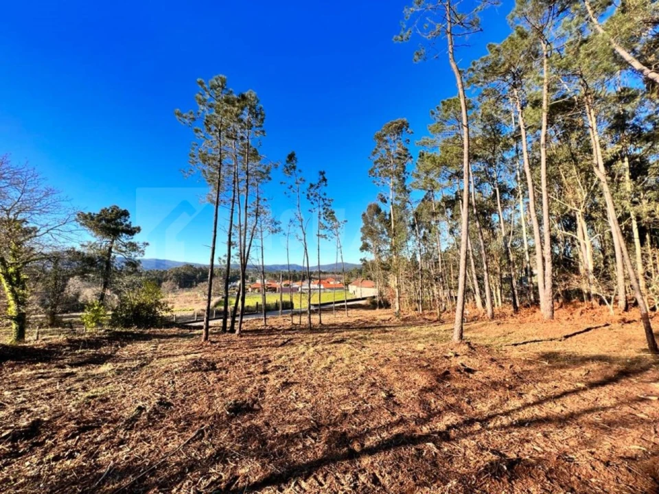 Terreno para Venda em Campos e Vila Meã Foto 7