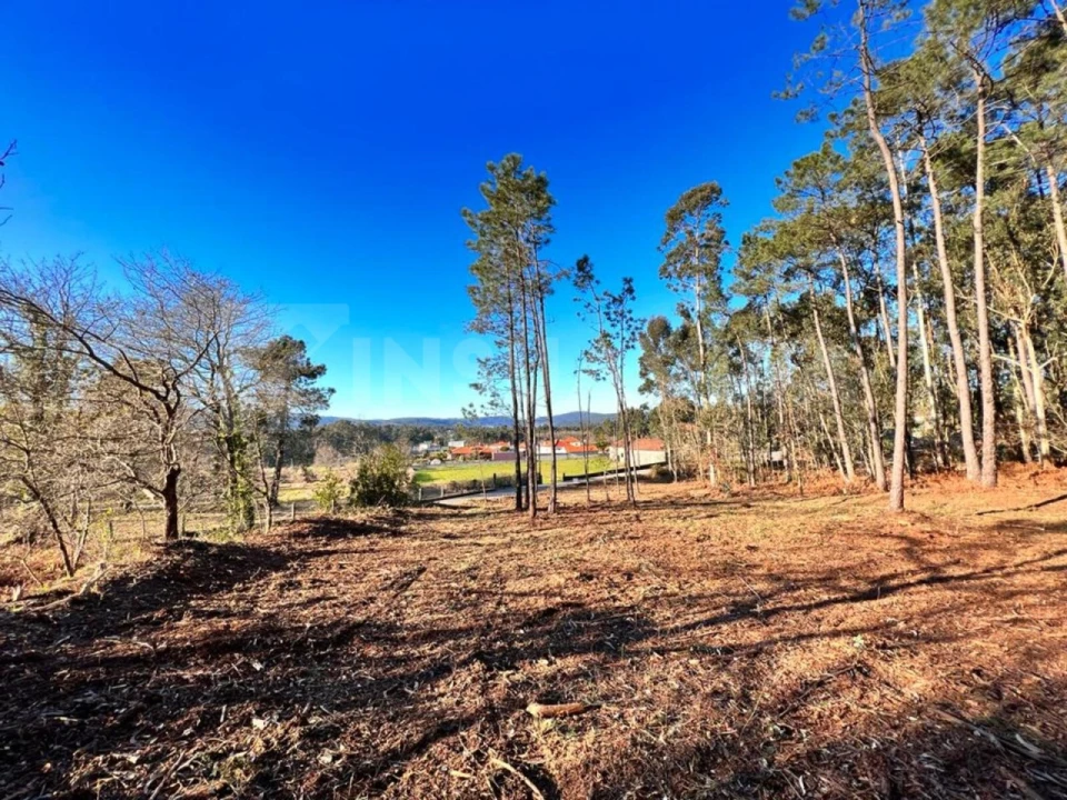 Terreno para Venda em Campos e Vila Meã Foto 8