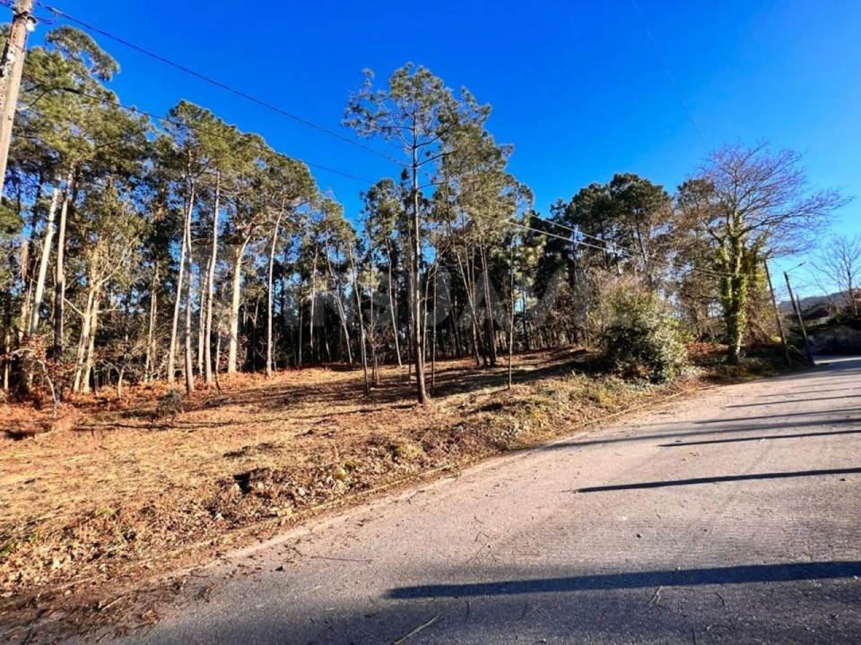 Terreno para Venda em Campos e Vila Meã Foto 12