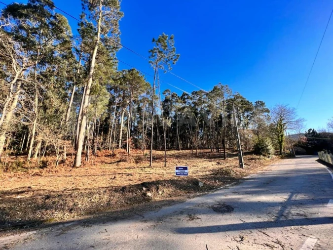 Terreno para Venda em Campos e Vila Meã Foto 3