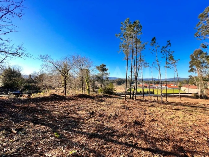 Terreno para Venda em Campos e Vila Meã Foto 4
