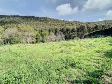 Terreno para Venda em Moledo e Cristelo
