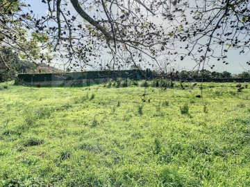 Terreno para Venda em Moledo e Cristelo