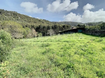 Terreno para Venda em Moledo e Cristelo