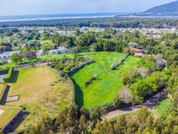 Terreno para Venda em Moledo e Cristelo