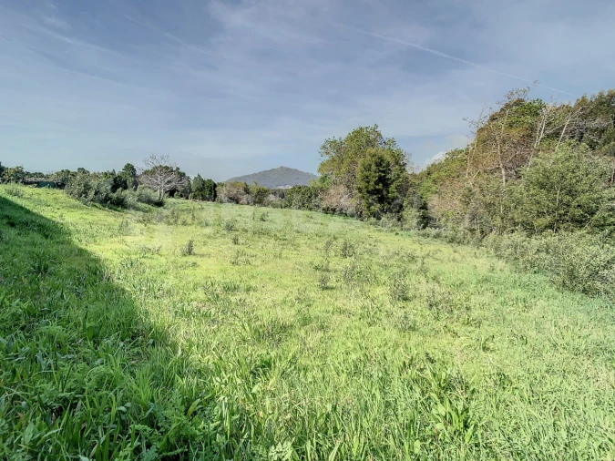 Terreno para Venda em Moledo e Cristelo Foto 5