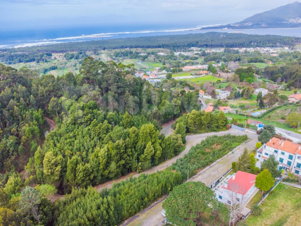 Terreno para Venda em Moledo e Cristelo Foto 5