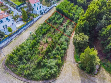 Terreno para Venda em Moledo e Cristelo