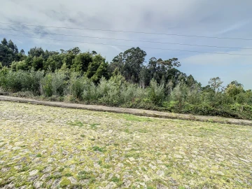 Terreno para Venda em Moledo e Cristelo