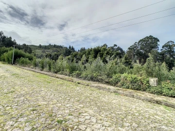 Terreno para Venda em Moledo e Cristelo