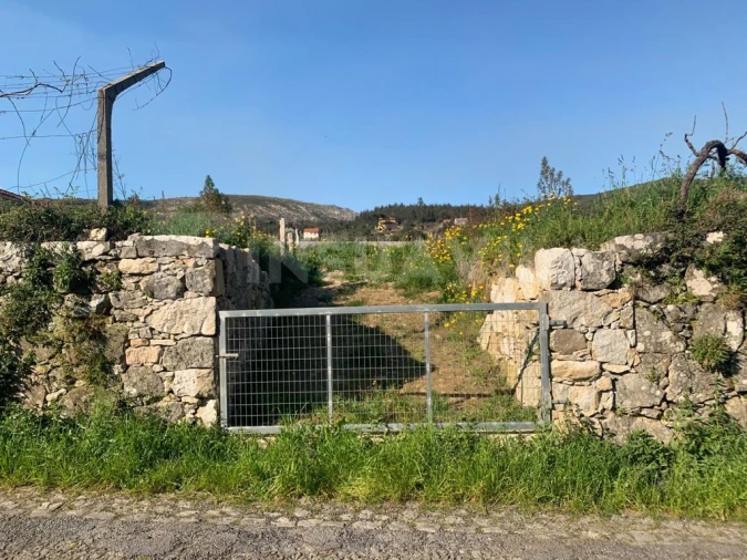Terreno para Venda em Riba de Ancora Foto 7