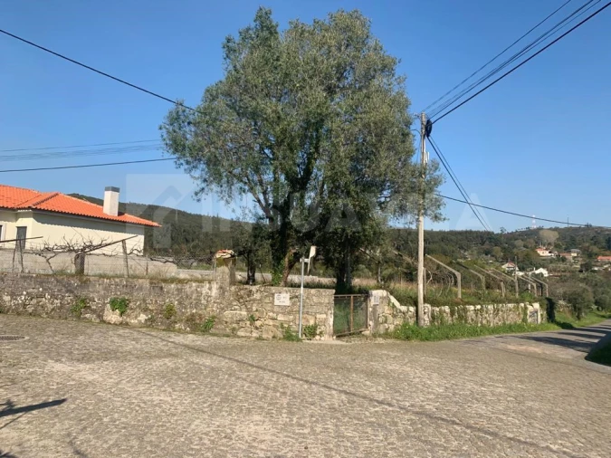 Terreno para Venda em Riba de Ancora Foto 2